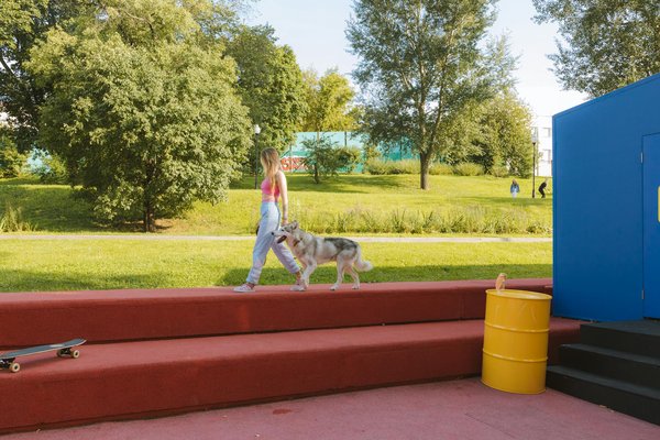 Garde Animaux Urgence